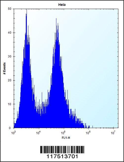 PHB Antibody