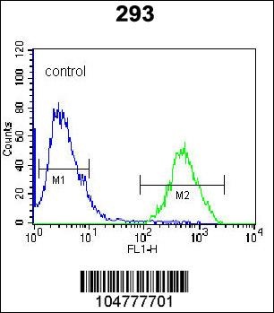 RCE1 Antibody