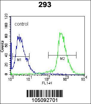 ARL2 Antibody