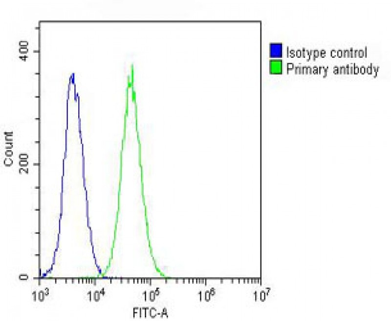 PFN1 Antibody