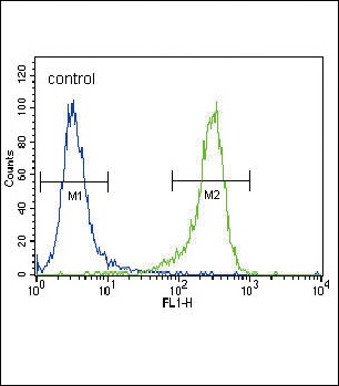 UCHL1 Antibody