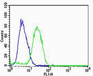 HBG2 Antibody