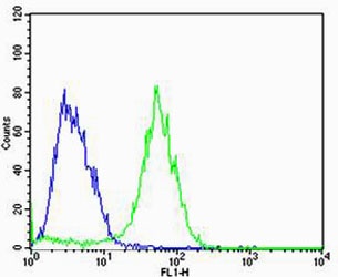 ADRA1D Antibody