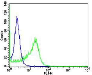 IL4R Antibody