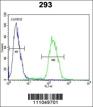MYC Antibody