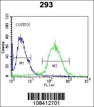 NAP1L1 Antibody