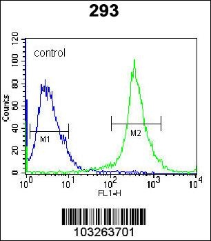 IL17D Antibody