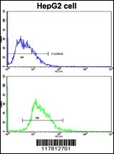 ESR2 Antibody