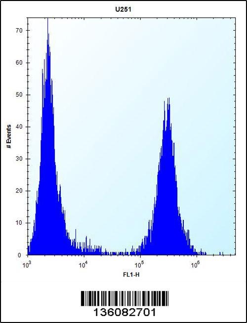 TGFBI Antibody