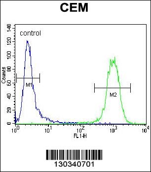 ATF3 Antibody