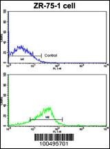 NCS1 Antibody