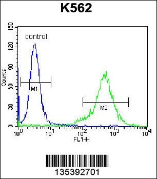 PRL Antibody