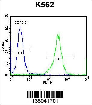 KEL Antibody