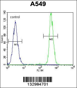 HN1 Antibody