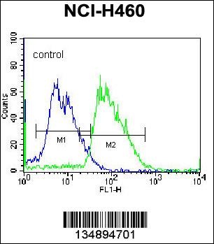 MINPP1 Antibody