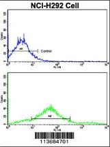 CDH7 Antibody