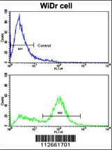 Latexin Antibody