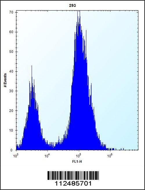 SCGN Antibody