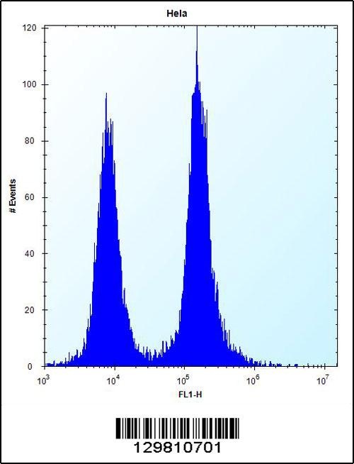 DEFB112 Antibody