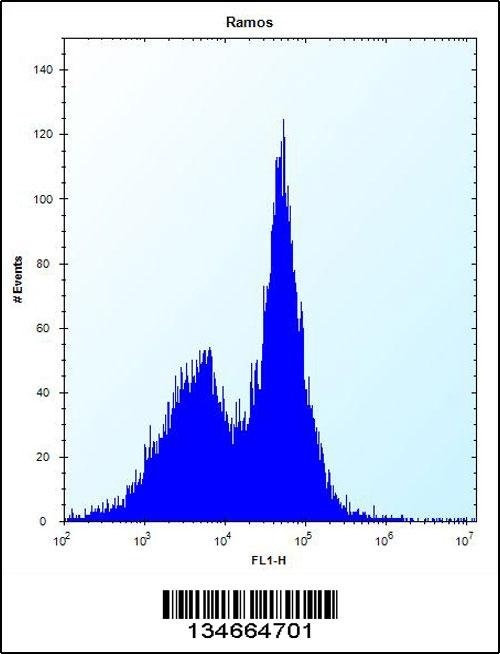 Mouse Phkg1 Antibody