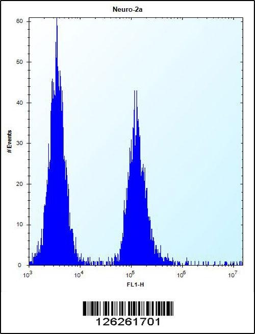 VASH2 Antibody