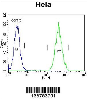 RARA Antibody