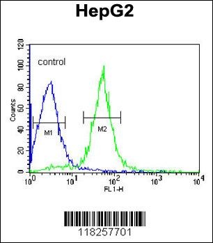 AIFM2 Antibody