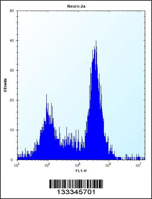 SDF2L1 Antibody