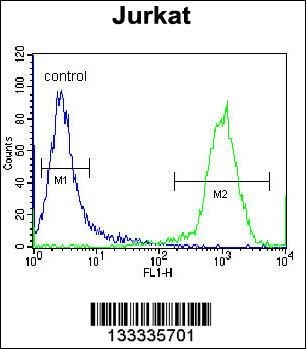 HJURP Antibody