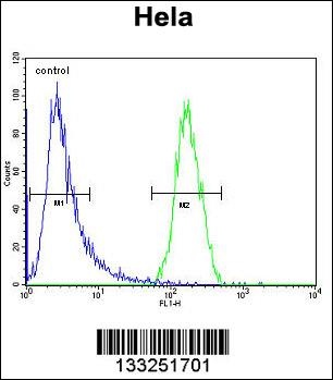 TRIM38 Antibody