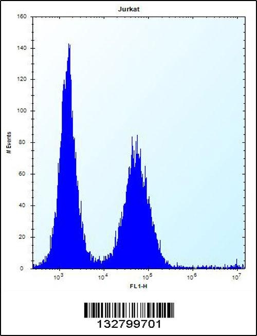 KCTD10 Antibody