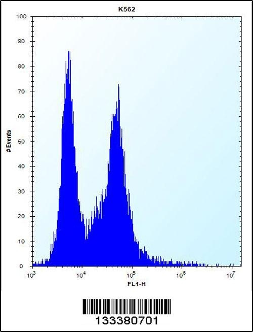 PI15 Antibody