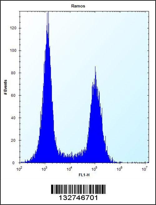 TMEM55B Antibody