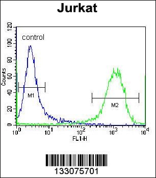 ZSCAN2 Antibody