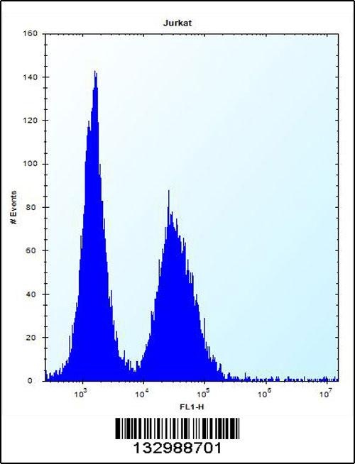 DDIT3 Antibody