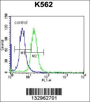 FSHB Antibody