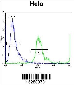 MBNL2 Antibody