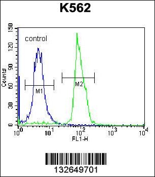 SEMA4C Antibody