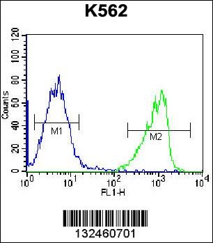 GIF Antibody