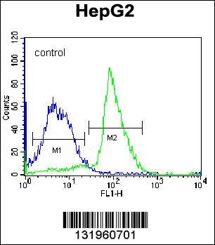 PON2 Antibody