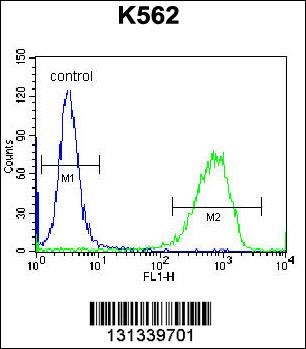 PAICS Antibody