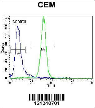 PPARA Antibody