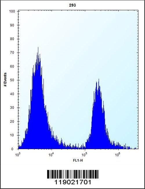 CPN1 Antibody
