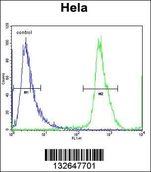 NUP35 Antibody