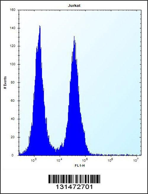 FAM8A1 Antibody
