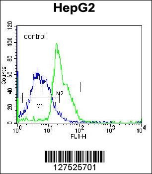 RPL15 Antibody