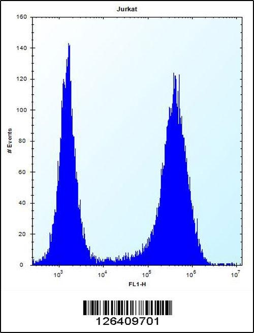 SPOPL Antibody