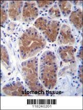 MID1IP1 Antibody