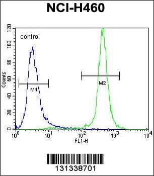 GABRA4 Antibody