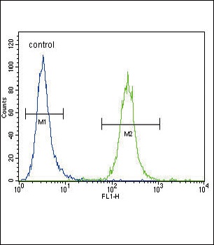 IREB2 Antibody